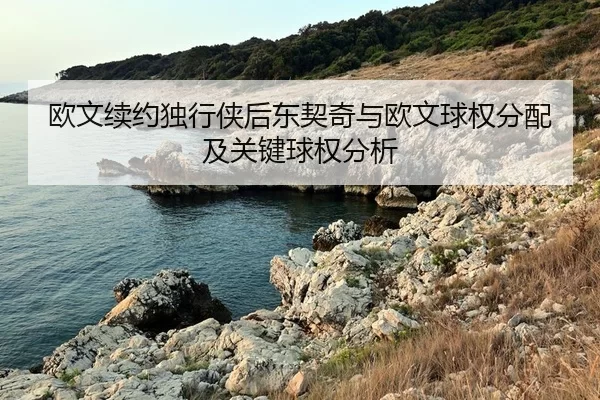 ou-wen-xu-yue-du-xing-xia-hou-dong-qi-qi-yu-ou-wen-qiu-quan-fen-pei-ji-guan-jian-qiu-quan-fen-xi-1-590.jpg
